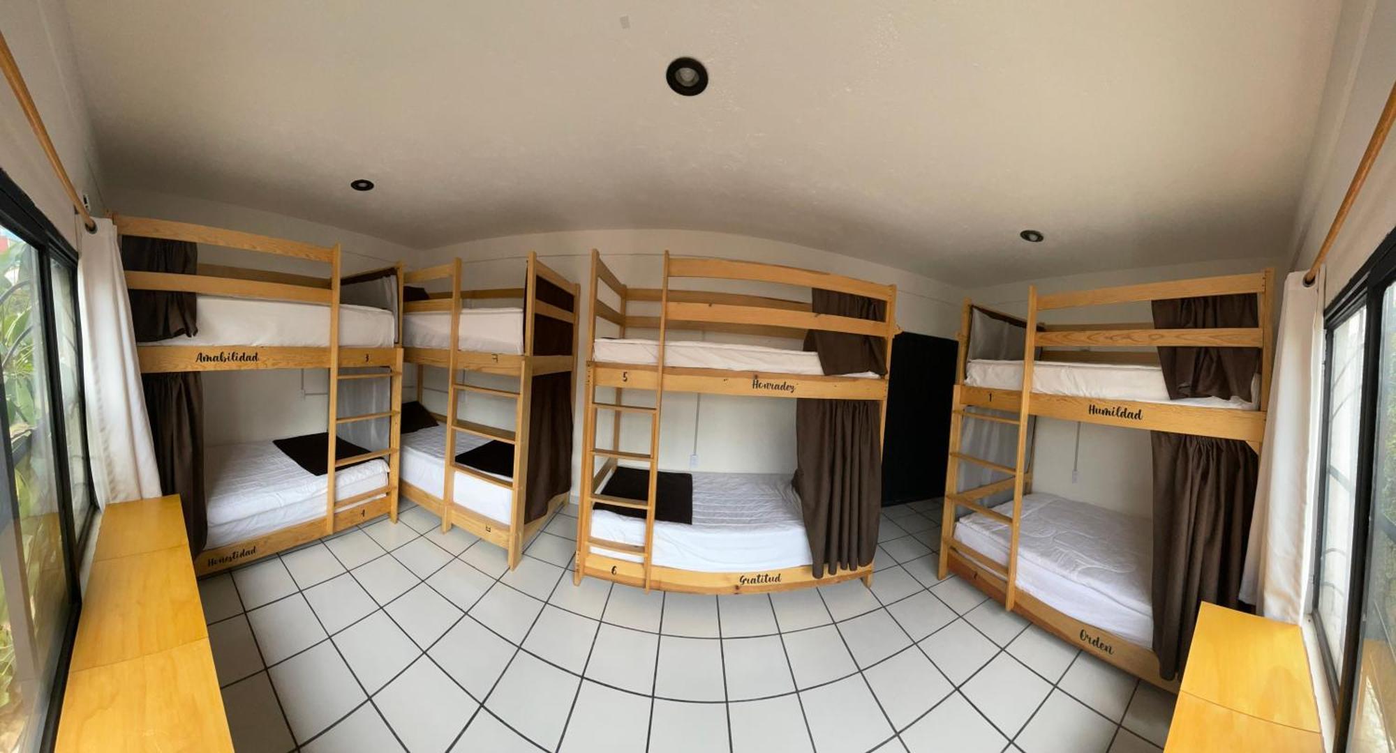 Hostal Roma Condesa Città del Messico Esterno foto