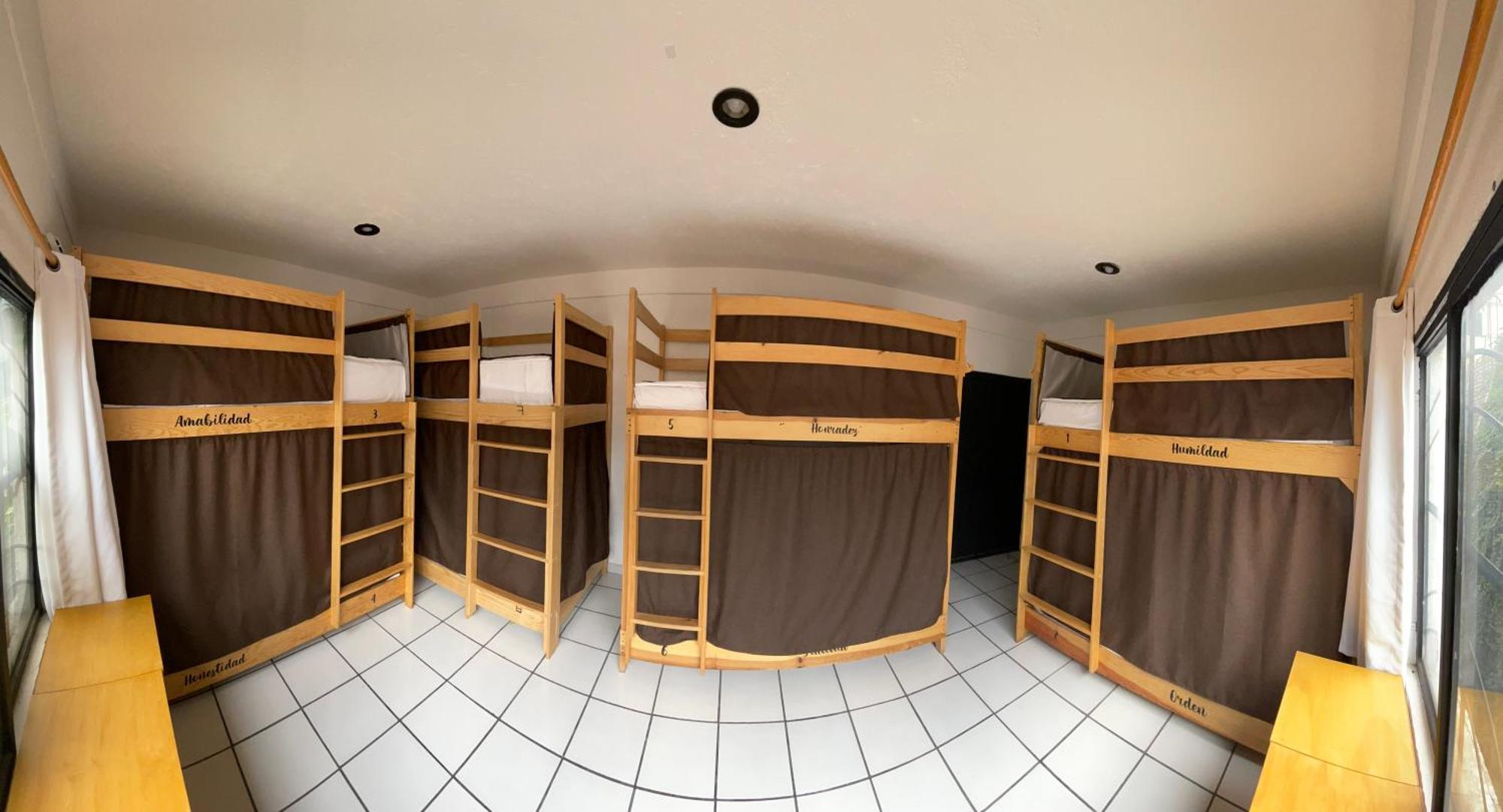 Hostal Roma Condesa Città del Messico Esterno foto